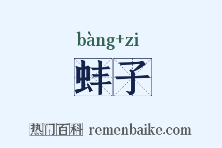 蚌子是什么意思的图片